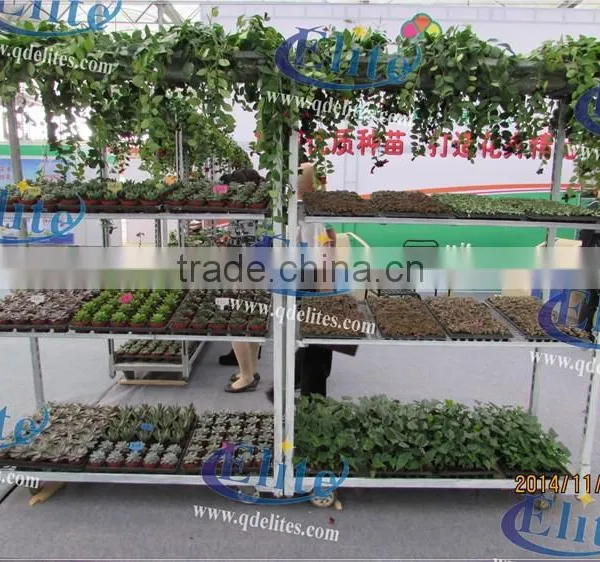 251Seedling Trolleys photo-5