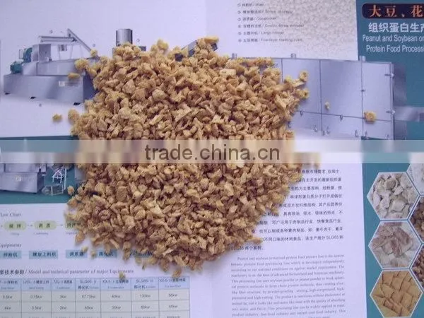 Direct Factory Price First Grade Soya Protein Food Making Machine photo-6