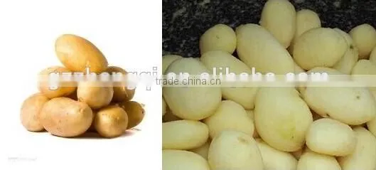 Hot Slae Cheap Sweet Potato Peeling Machine, Potato Washing and Peeling MachinePP30A photo-2