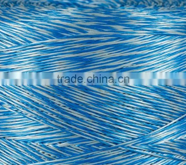 Big Square Baler Twine for Baling Wheat photo-6
