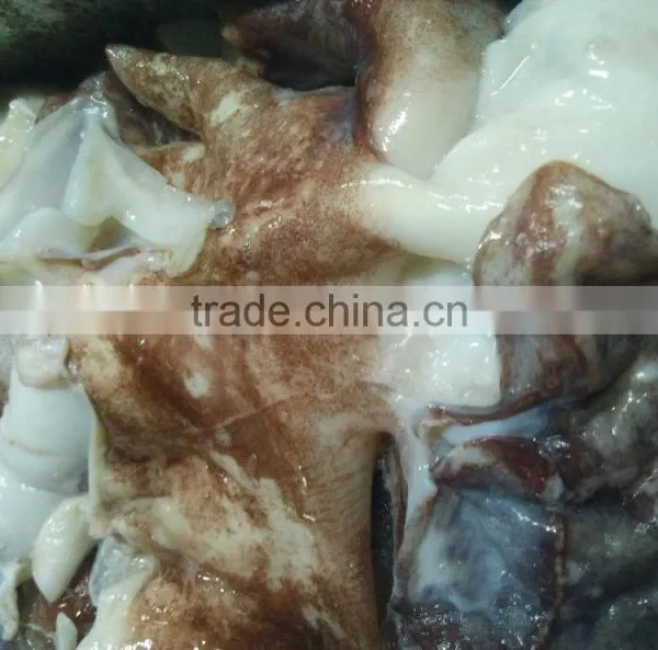 Frozen Giant Squid Neck photo-3