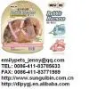 Sell Pet Harness,food Dish,hay Rack,small Animal Accessories,pet Products,New Age,Minishow,Vicky
