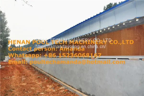 Oman Chicken Farm H Type Automatic Chicks Cage & Pullet Cage in Brooding Room With Poultry Climate Control photo-2