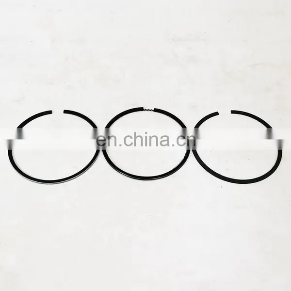 Excavator TD226B Diesel Engine Part 13065822 Piston Ring photo-2
