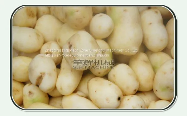 Commercial Fish Scale Peeling Machine Sweet Potato Taro Radish Ginger Peeling Machine photo-3