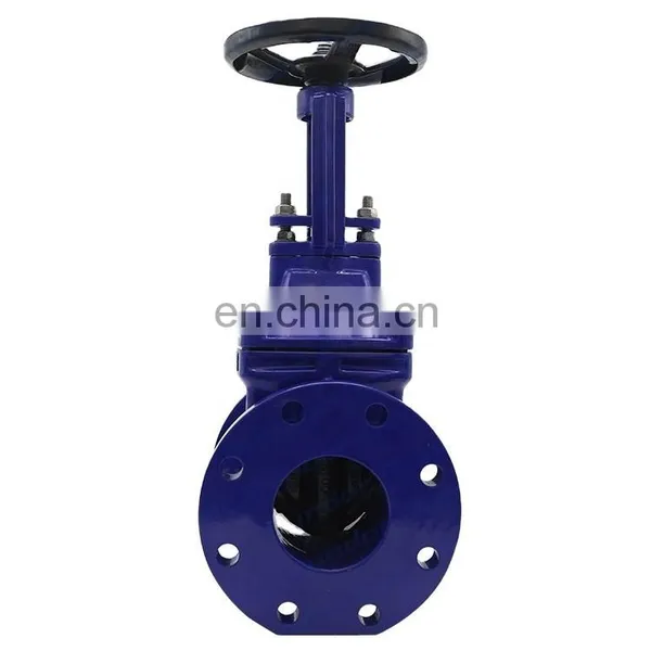 Bundor DN50-600 Flange Wedge Gate Valve PN16 Hand Wheel Rising Stem Extension Stem Gate Valve photo-3