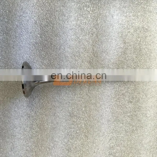 Hot Product SINOTRUK HOWO Truck D12 Engine Assembly VG1246050021/22 Intake And Exhaust Valve photo-2