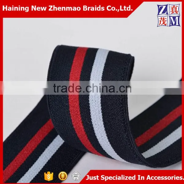 Striped Polyester Elastic Webbing Band photo-3