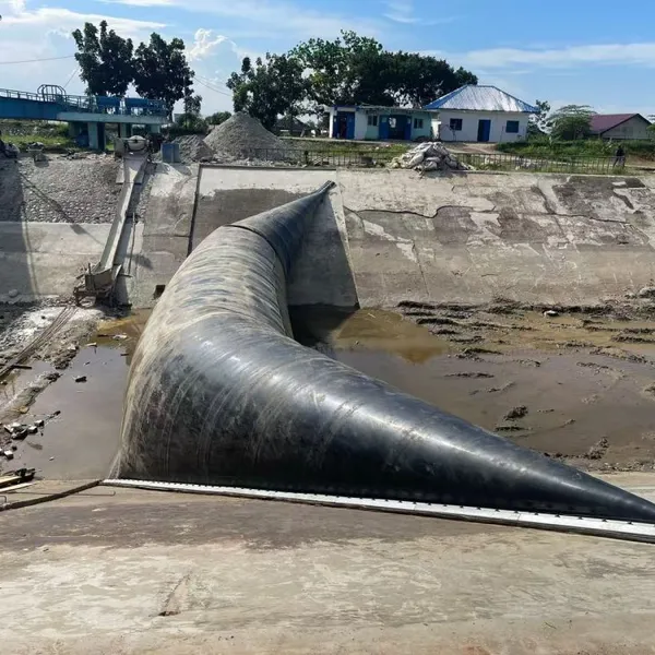 Products for River Management (inflatable and Water-filled Rubber Dams) photo-5
