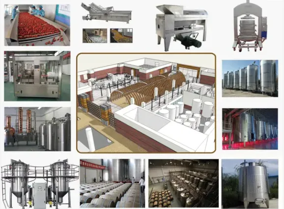 Turkey Project Black Garlic Fruit Vegetable Wine Vinegar Production Line photo-6