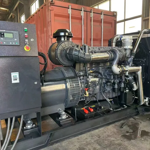 100kVA 200kVA 250kVA 400kVA 500kVA 600kVA 1000kVA Generador de diesel silencioso OEM trifásico de CA para uso de emergencia