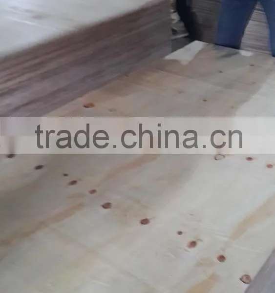 LVL, PLywood, Packing Plywood, Sanding Core Plywood photo-4