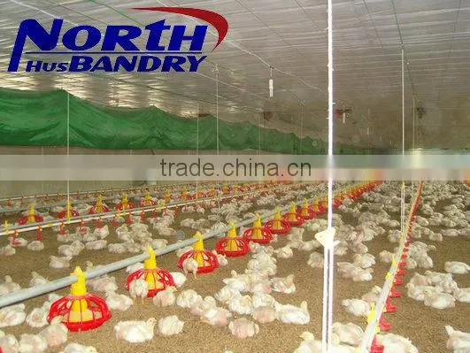 Poultry Farming Equipment Pig Feeder