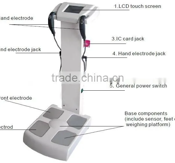 China/new Product Body Analyzer Machine/tanita Body Composition Analyzer photo-5
