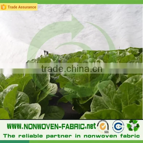 Vegetable Bags UV Resistant Fabric Polypropylene Nonwoven Fabric