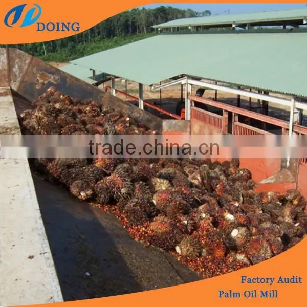 Palm Fruit Oil Processing Machine | Palm Oil Expeller Machine photo-3