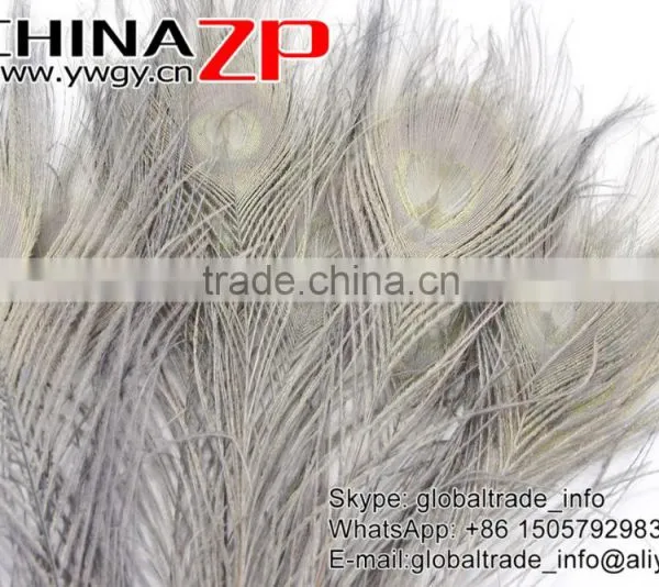 CHINAZP Leading Supplier Wholesale Cheap Full Eye Dyed Grey Long Peacock Tail Feathers photo-3