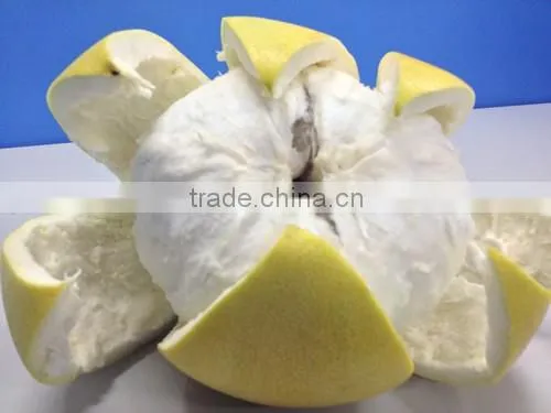 Late Honey Pomelo