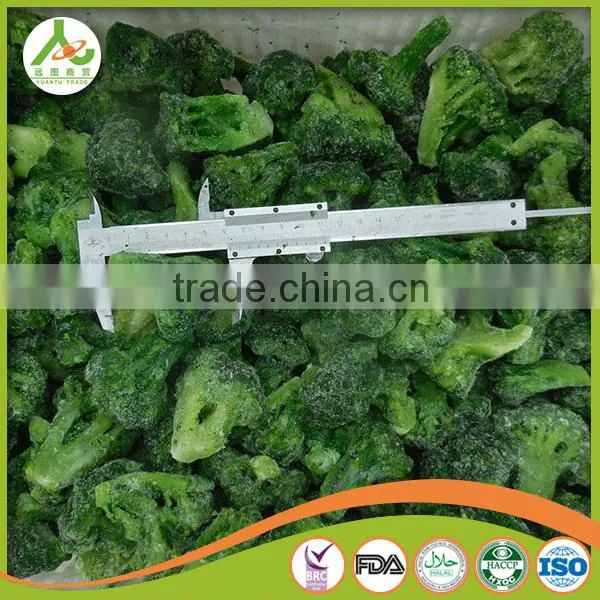 2016 New Crop Chinese Fresh Broccoli photo-3