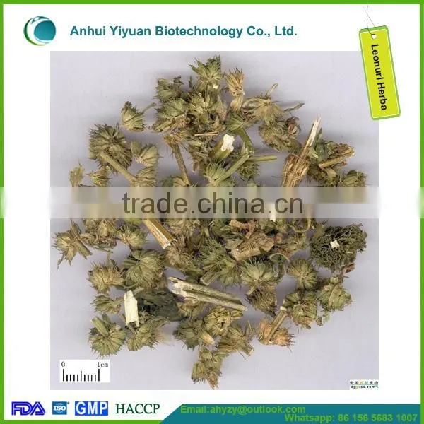 2016 New Products Leonuri Herba (Yi mu Cao) photo-3