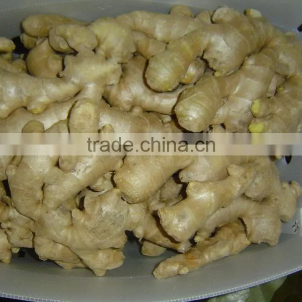 Air Dried Ginger photo-5