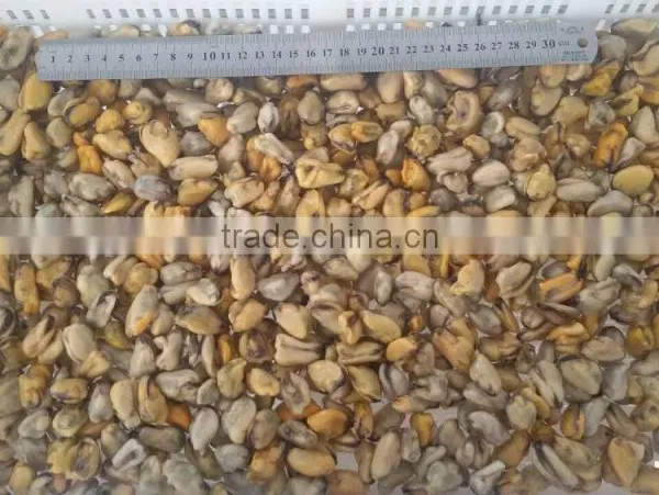 China Seafood Exporter Frozen Mussel Boiled Meat