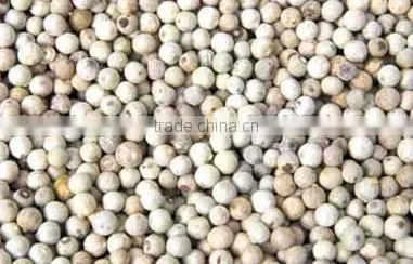 VIETNAM WHITE PEPPER 600 G/L; 630 G/L photo-6