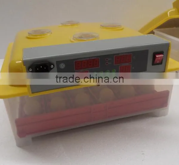 144 Quail Egg Mini Hatchery Price in UK WQ-36 photo-4