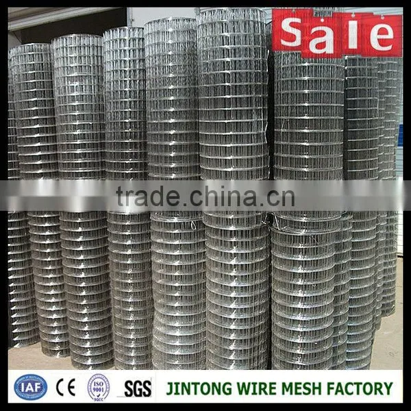 Iron Wire Fence Hot Dip Galvanized/pvc Coated Welded Wire Mesh Rolls photo-2