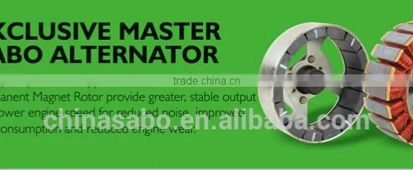 Sine Wave Digital Inverter Gasoline Generator photo-5