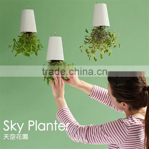 Creative Flower Pot Plastice Sky Planter Mini Sky Garden Hang Suspended Decorative Sky Planter New Design Indoor Sky Planter photo-4