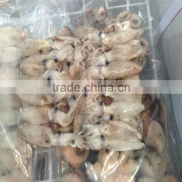 High Quality Whole Round Frozen Baby Squid for Sale photo-4