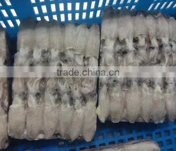 Block Frozen Baby Squid 500g/1kg photo-5