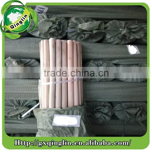 Eucalyptus Wood Logs Wooden Hoe Handle for Garden Hand Tool Wholesale Sell to India photo-2