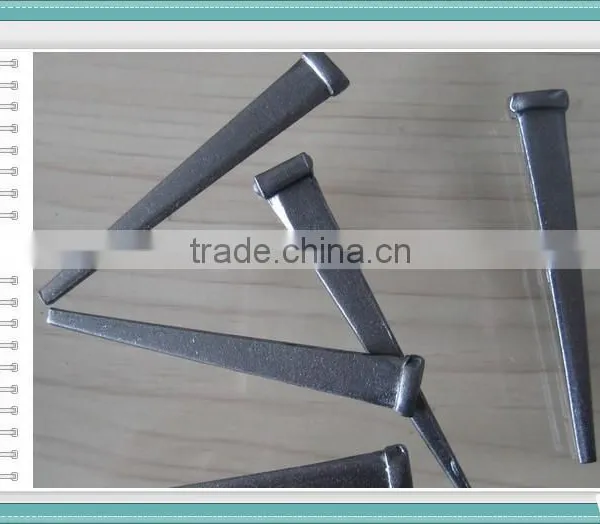 Cut Steel Nails Flat Tapered Nail for Concrete or Brick photo-6