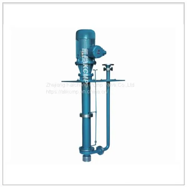 FYH Long Axis Submerged Pump photo-2