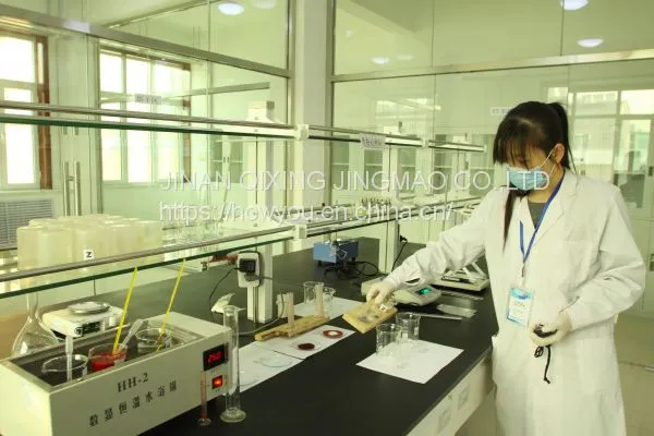 Top Superabsorbent Polymer Makers in China photo-2