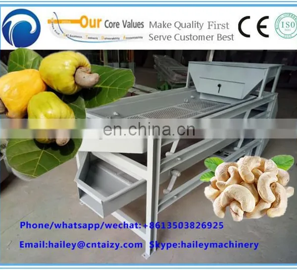 Cashew Nut Cleaning Machine photo-6