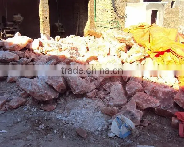 Himalayan Salt Lick - Animal Special photo-5