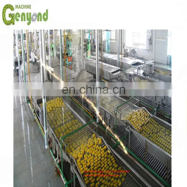 Custom Made Canning Fruit Plant With High Quality