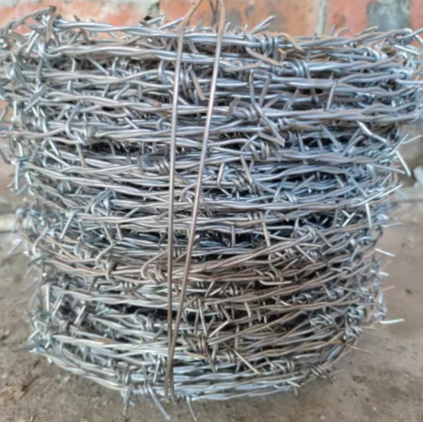Farm Protection Barbed Wire Fence Hot Dipped Galvanized Steel Wire for Prisons photo-2