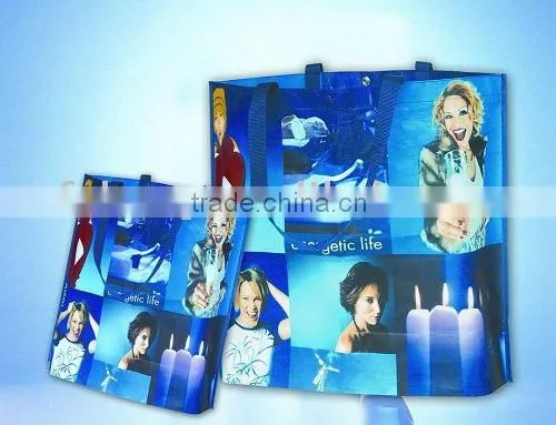 PP Nonwoven Bag