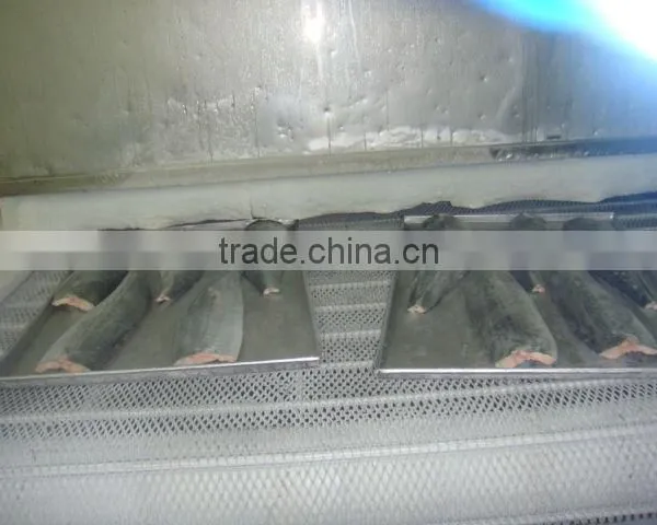 Frozen Spanish Mackerel Fillet