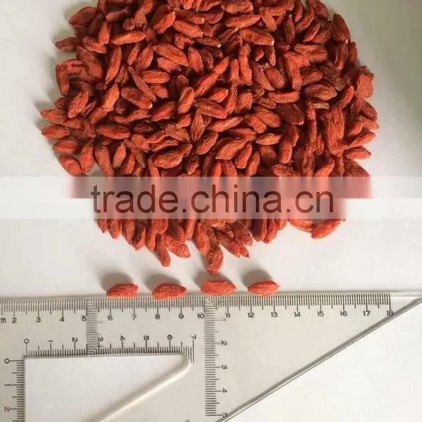 GOJI BERRY 119th Canton Fair Phase III Booth no 10.2E45