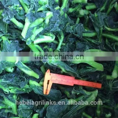 IQF Frozen Style Fresh Rapeflower