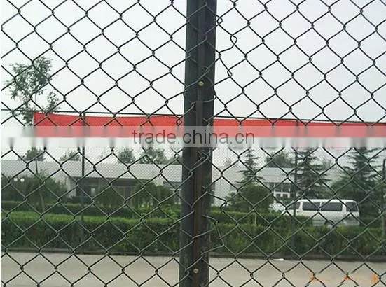 Galvanized Diamond Wire Mesh,chain Link Mesh photo-2