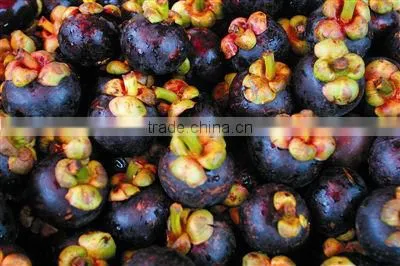 Mangosteen