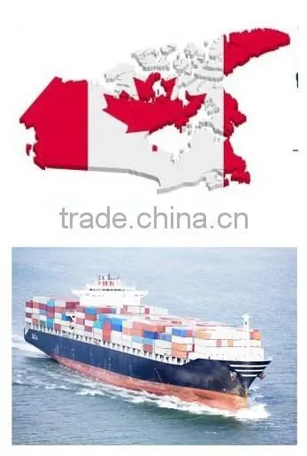 International Ocean Freight Ningbo to Toronto/canada