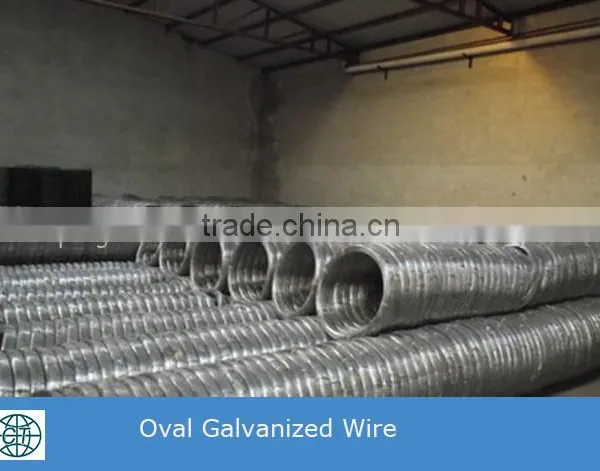 Low Price High Quality High Carbon Elliptical Steel Wire for Farm Fence photo-5