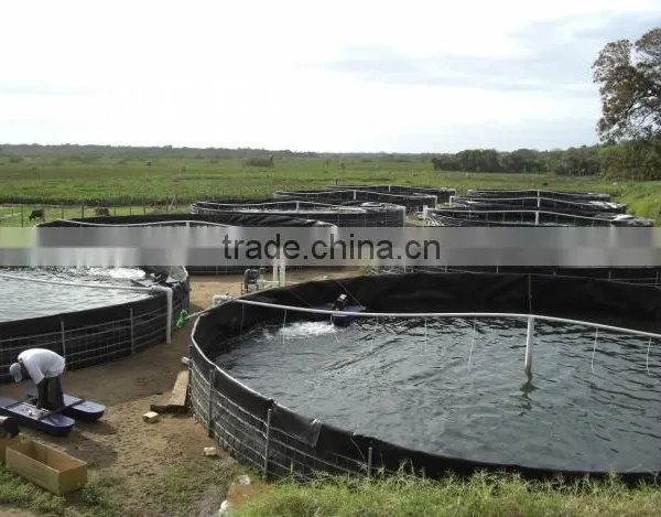 the most economical recirculating aguaculture system(RAS)